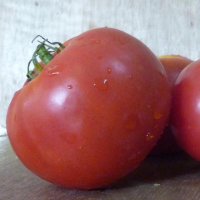 Tomate Symbal